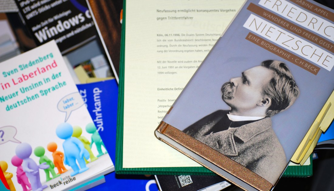Das Nietzsche-Rätsel